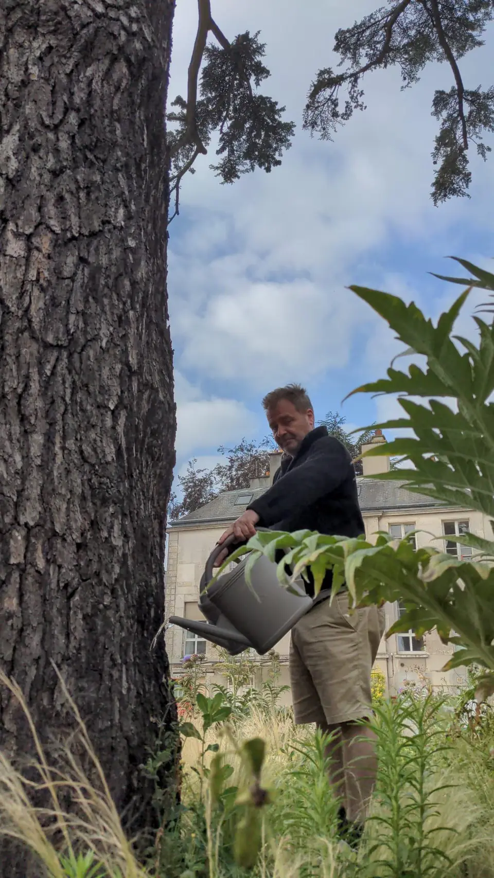 Aimée's friend watering the Imperial Cedar, July 2026