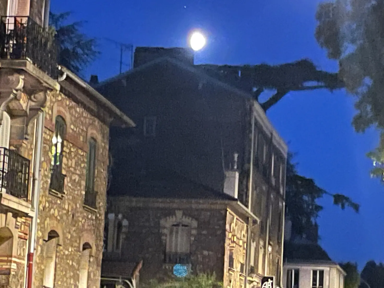 The Imperial Cedar at night