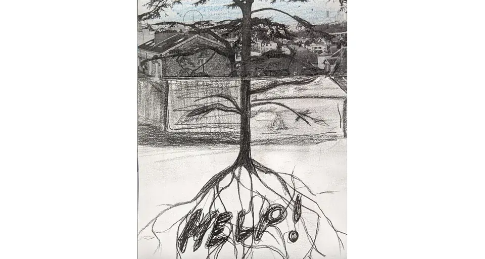 A pencil drawing: the roots of the cedar spell out “HELP!”