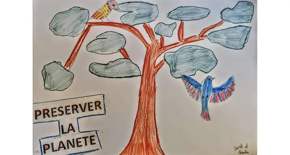 “Préserver la planète” — the cedar, a bird and a pencil