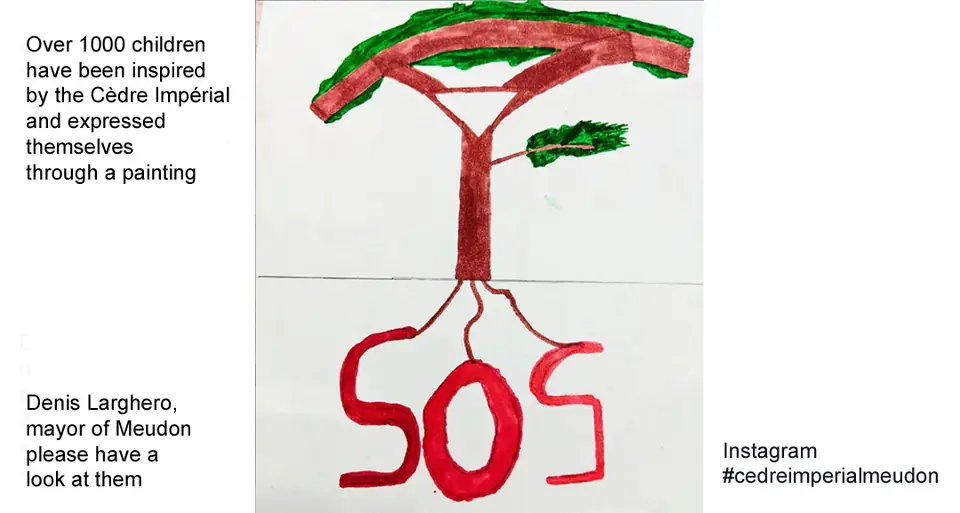Over 1000 children have been inspired by the Cèdre Impérial and expressed themselves through a painting