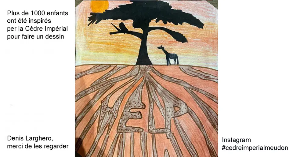 Plus de mille enfants inspirés par le Cèdre Impérial se sont exprimés par un dessin