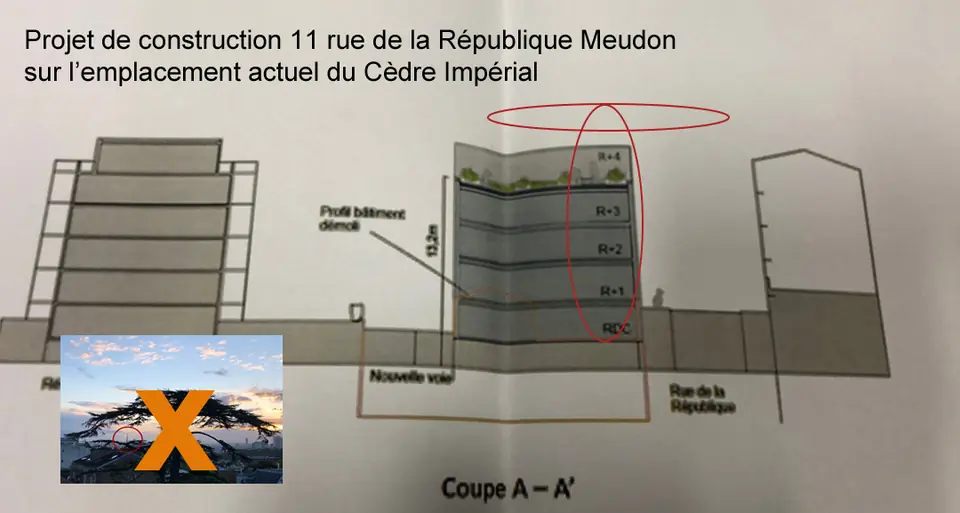 The 2021 construction project at 11 rue de la République, on the site of the Imperial Cedar